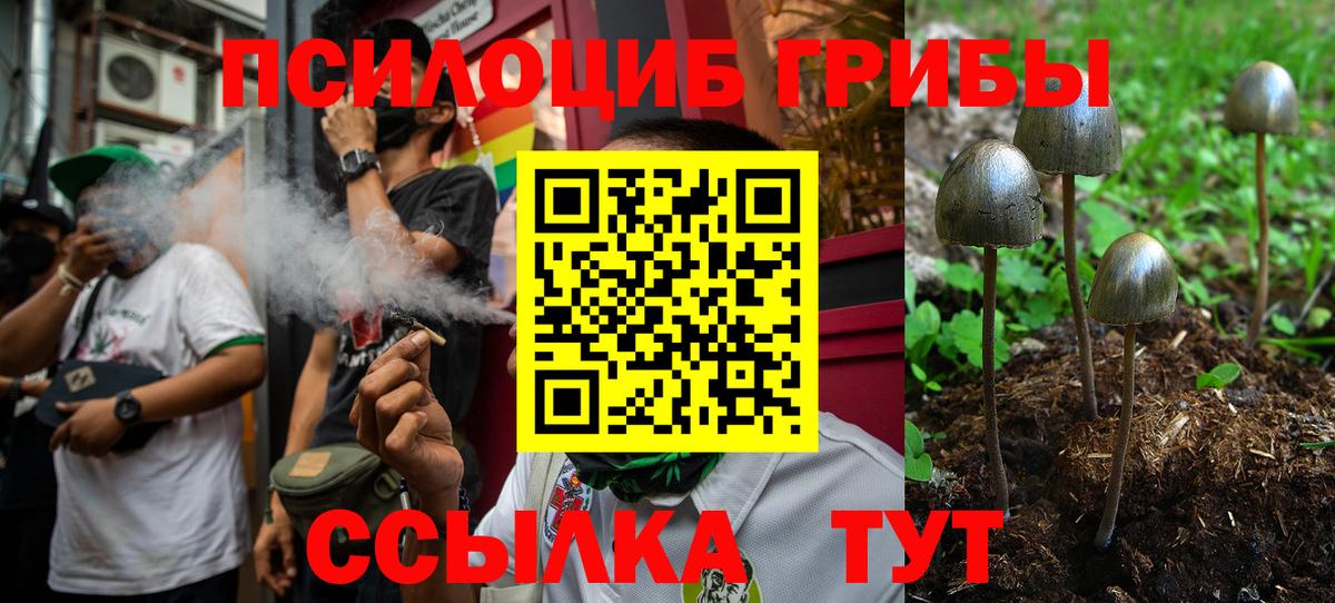 Псилоцибиновые грибы Magic Shrooms  где продают наркотики  Кирово-Чепецк  Галлюциногенные грибы GOLDEN TEACHER  Вход с VPN 